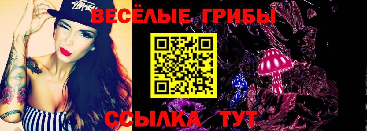 Псилоцибиновые грибы GOLDEN TEACHER Осинники