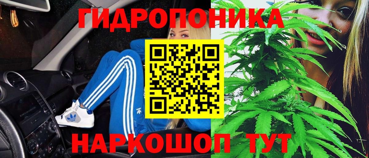 Осинники  Каннабис VHQ  Марихуана VHQ  Каннабис конопля  Вход с VPN  Каннабис ГИДРОПОН 